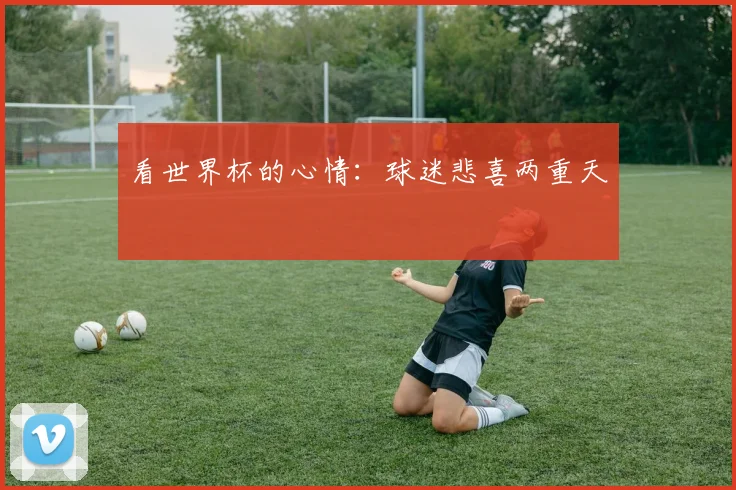 看世界杯的心情:球迷悲喜两重天