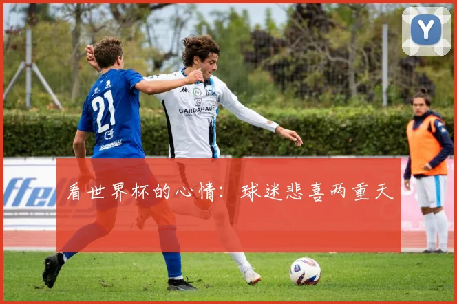 看世界杯的心情：球迷悲喜两重天