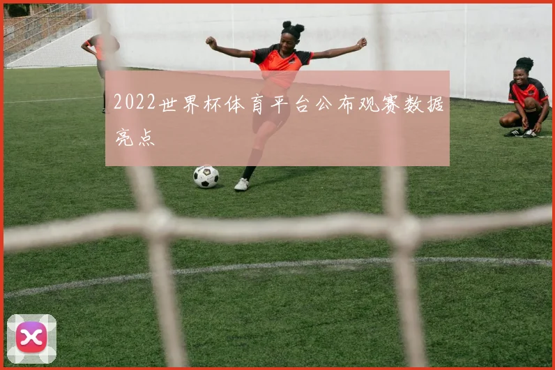 2022世界杯体育平台公布观赛数据亮点