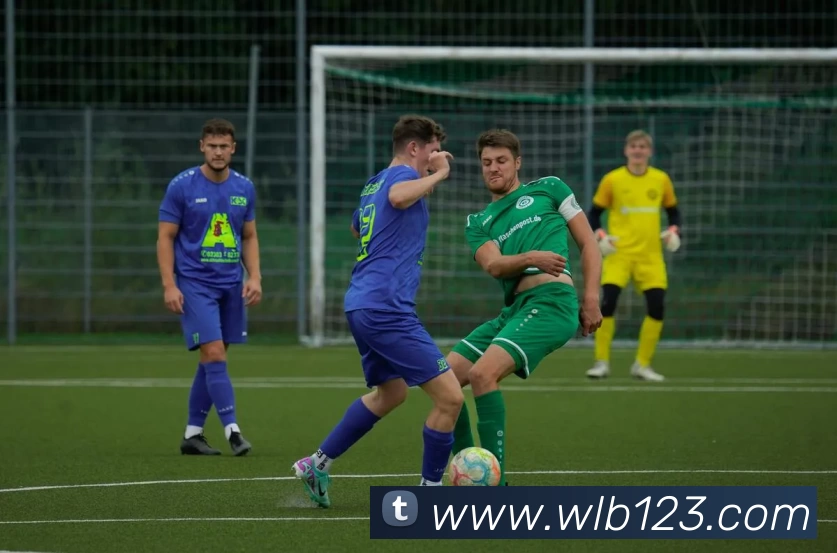 开云体云app登录入口 - 开云(中国)平台生态图