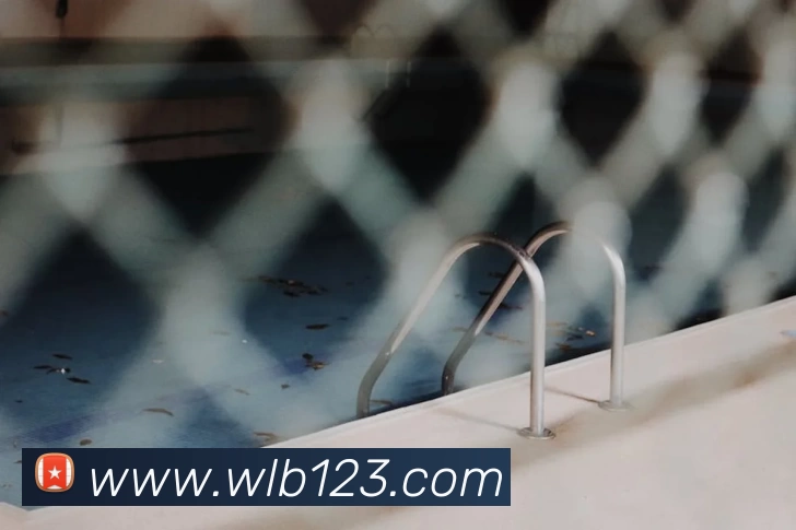 开云体云app登录入口 - 开云(中国)APP 封面图